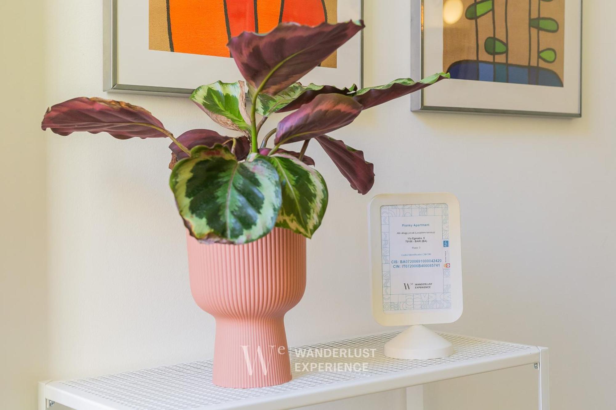Wanderlust Experience Frankly Apartment Bari Eksteriør bilde